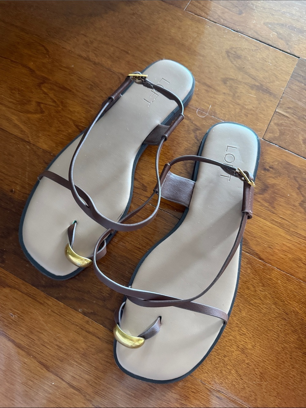 LOFT Brown Leather Strap Sandals with Gold Toe Accent